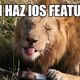 Illustration for article titled What We Know About Lion and Why It May Be the Last Mac OS X